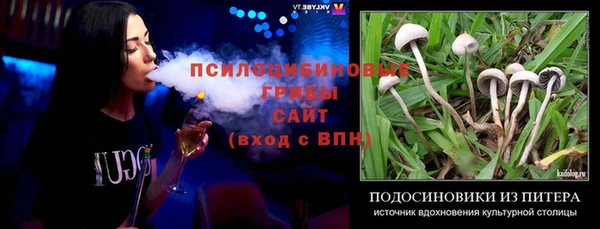 прущие грибы Россошь