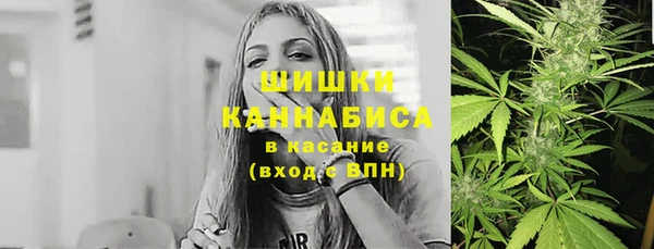 дурь Бородино