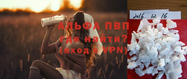 гидра Бронницы