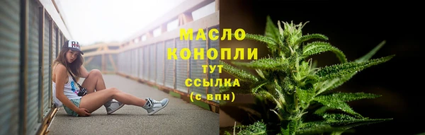 прущие грибы Бугульма