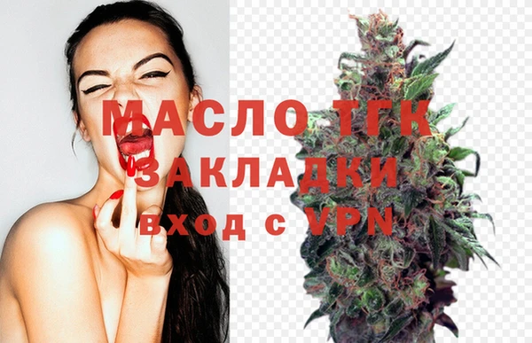 гидра Бронницы