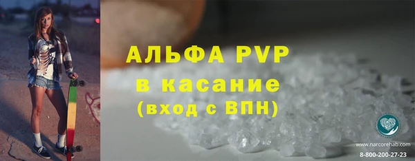 дурь Бородино