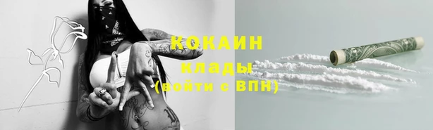 дурь Бородино