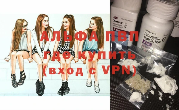 прущие грибы Бугульма