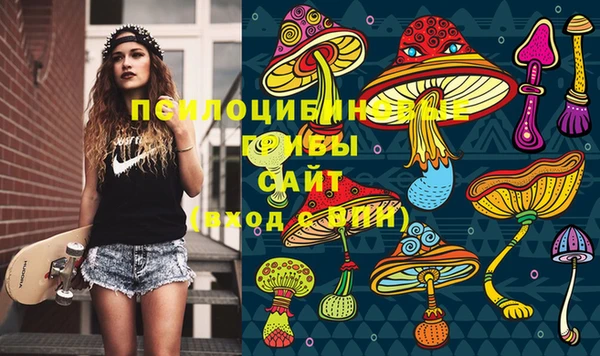 прущие грибы Бугульма