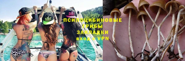 дурь Бородино