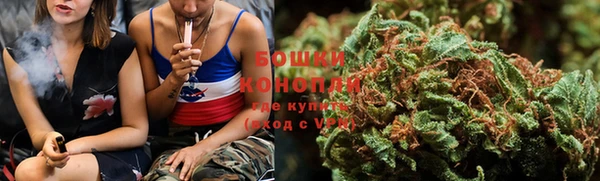 дурь Бородино