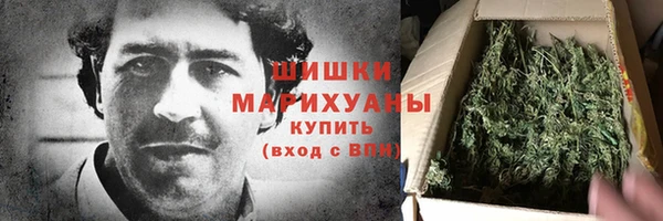 прущие грибы Бугульма
