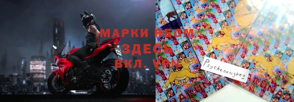 дурь Бородино
