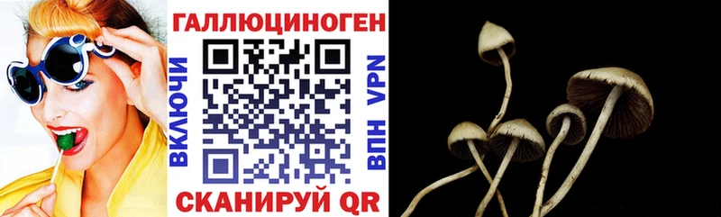 ОМГ ОМГ онион  Острогожск  Галлюциногенные грибы ЛСД 